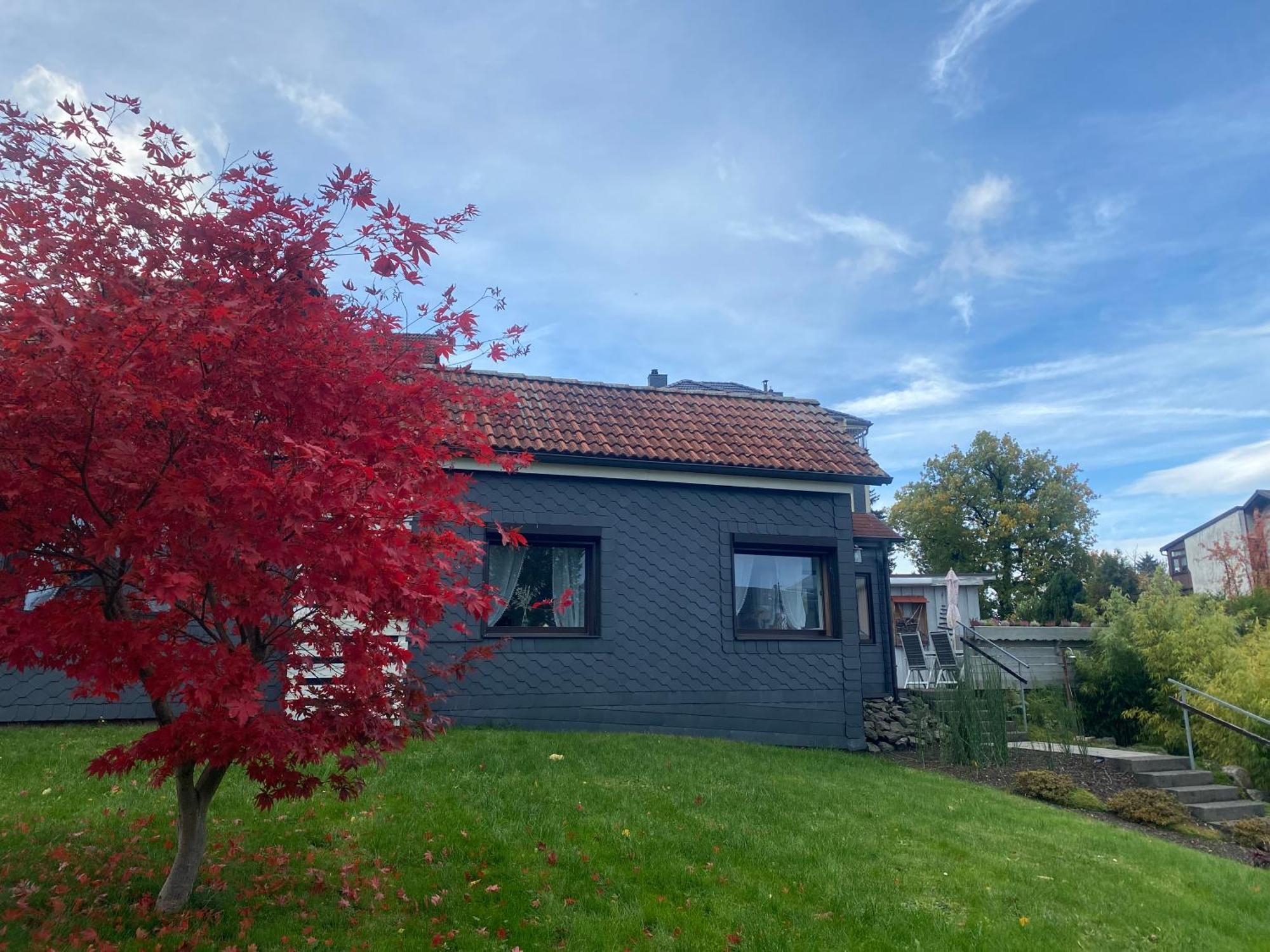 Ferienhaeuschen Gartenblick Friedrichroda Ngoại thất bức ảnh